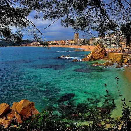 Estudio Carbonell Beach- Terrace * Lloret de Mar